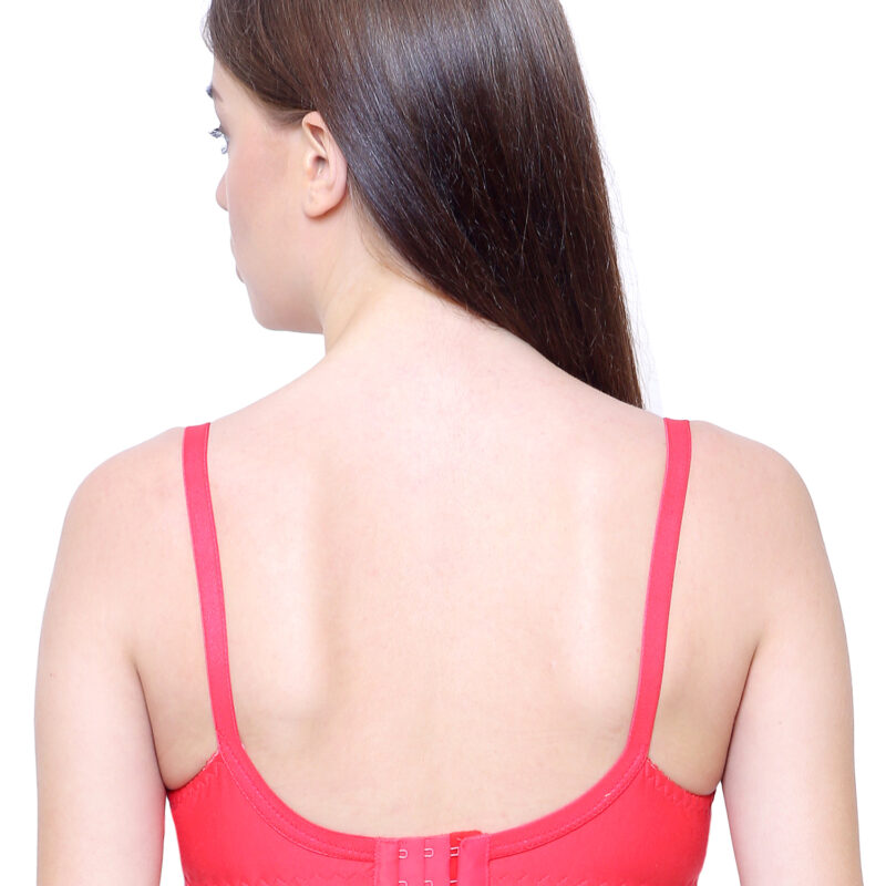 Nancy Bra Combo Pack of 2 (Magenta & Firoji) – Color Combo Bra Set