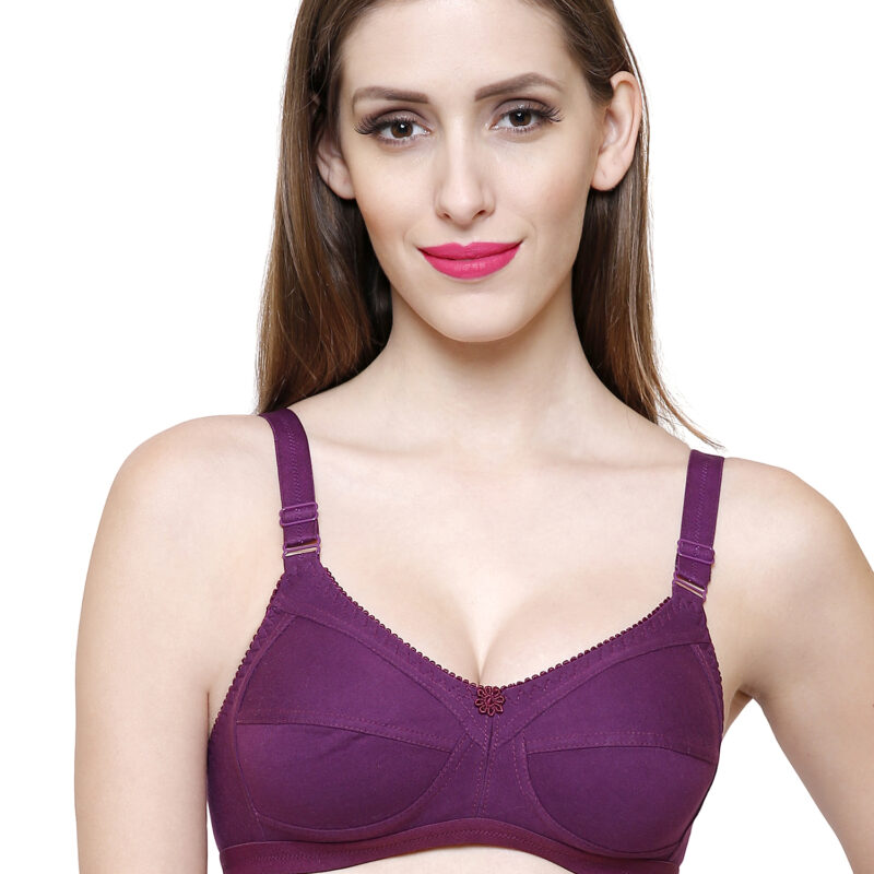 UltraComfort Full Coverage Bra Pack of 6 – Seamless Daily Wear Support for Women